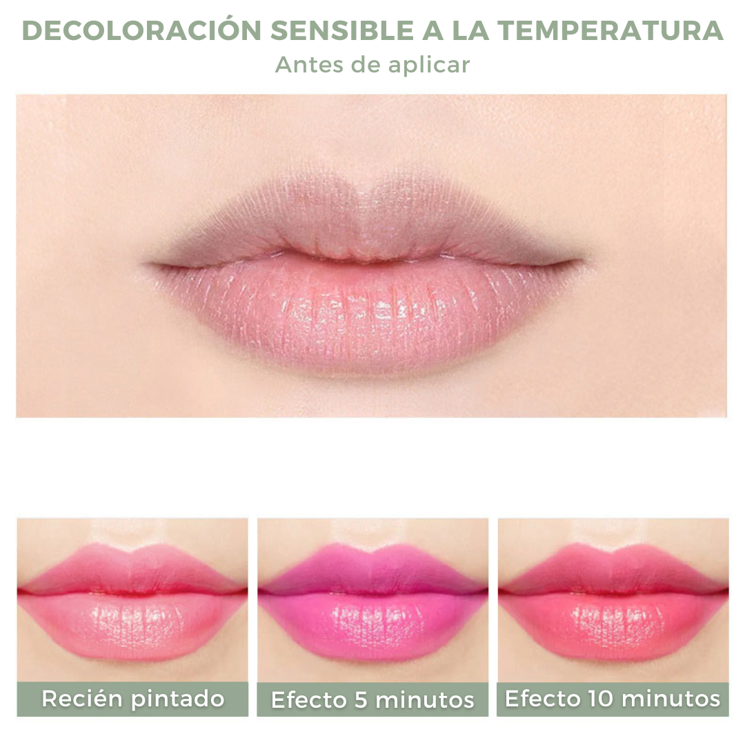 Barra de Labios Hidratante💄