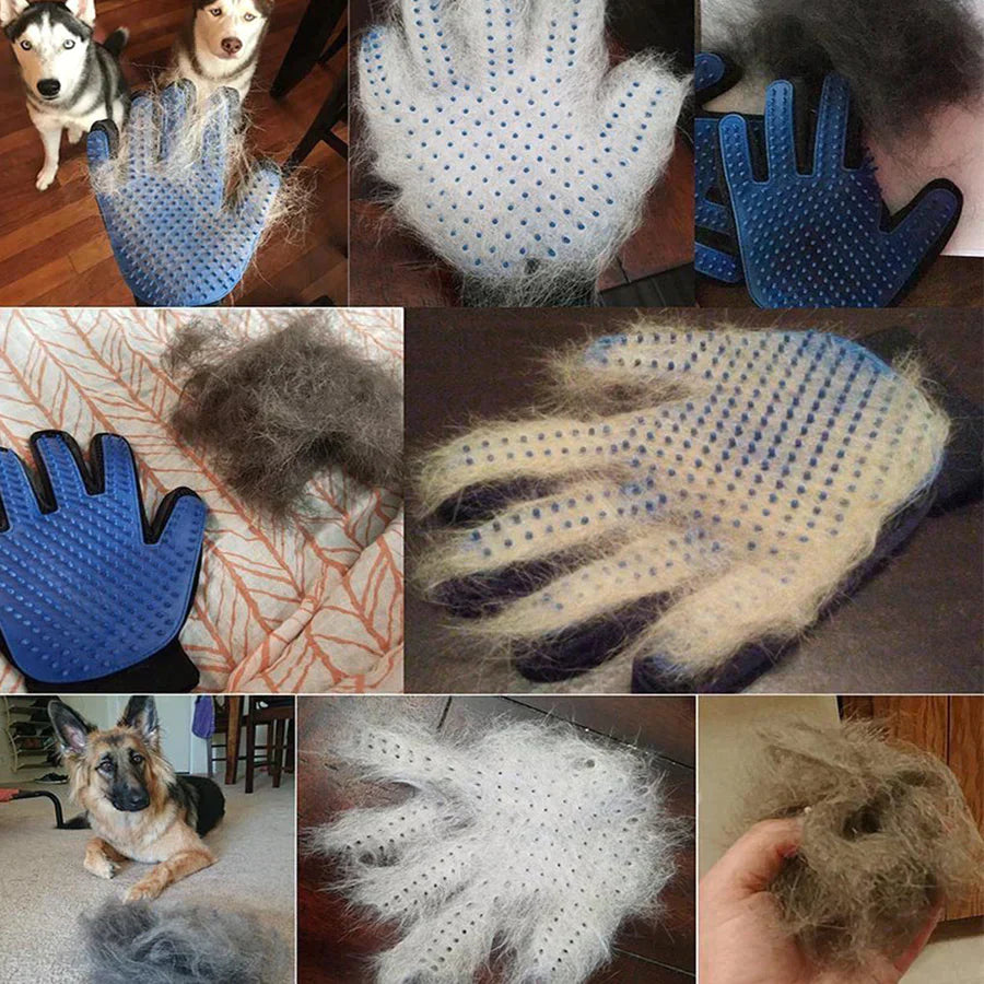 Guantes Para Mascotas🐾